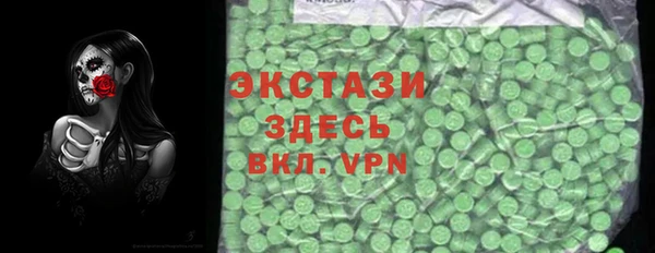 индика Богородицк