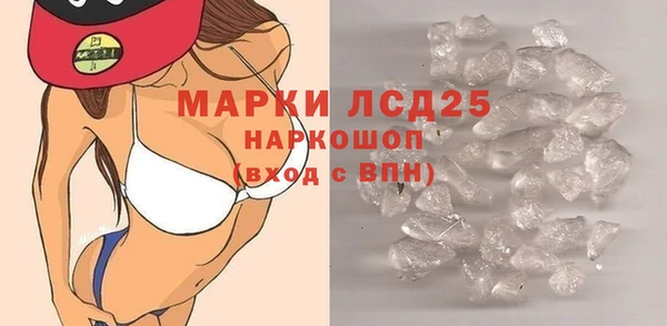индика Богородицк