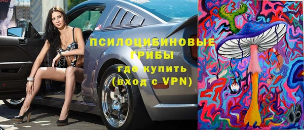 Альфа ПВП Магас