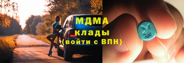 индика Богородицк