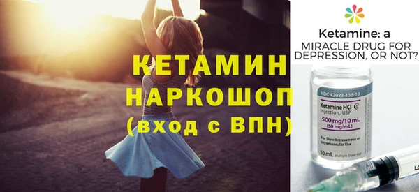 гидра Богородск