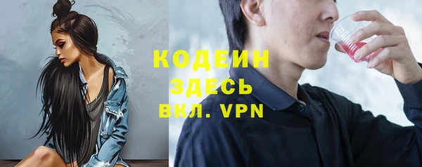 индика Богородицк