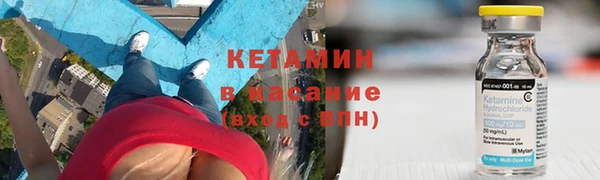 индика Богородицк