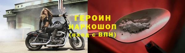 гидра Богородск