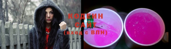 гидра Богородск