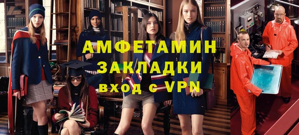 индика Богородицк