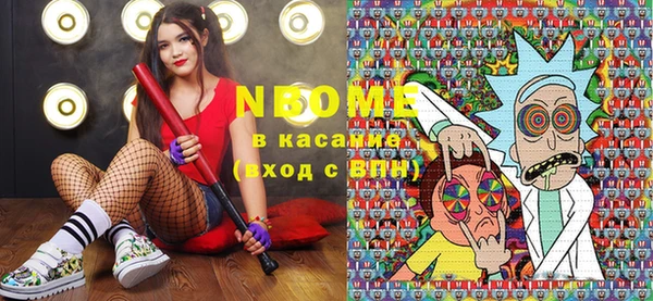 индика Богородицк