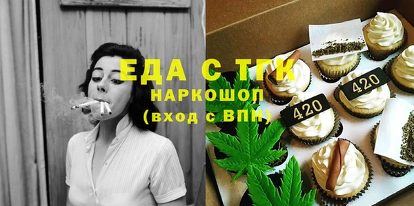 индика Богородицк