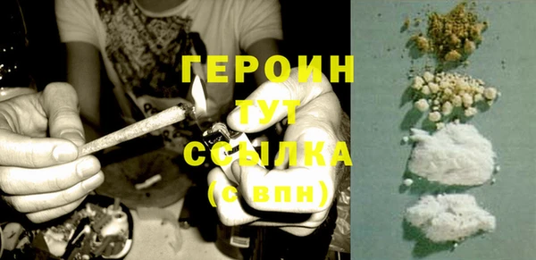 гидра Богородск