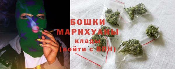 индика Богородицк